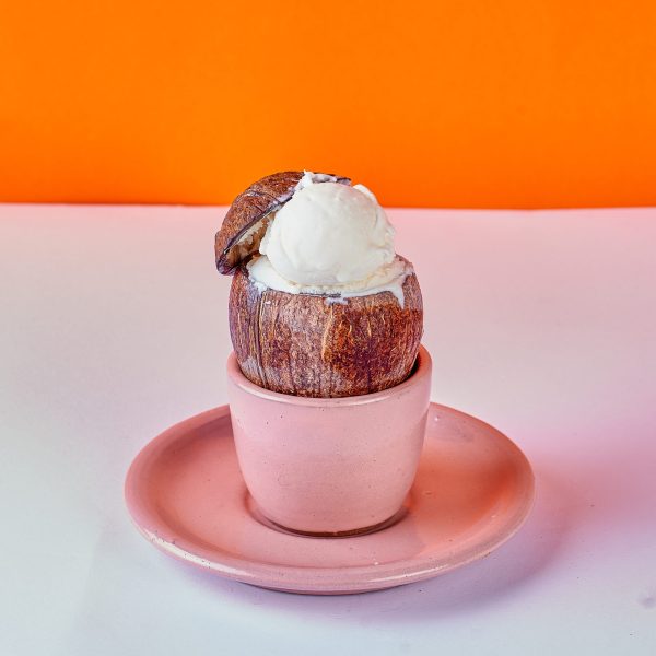 Coconut Ice Cream